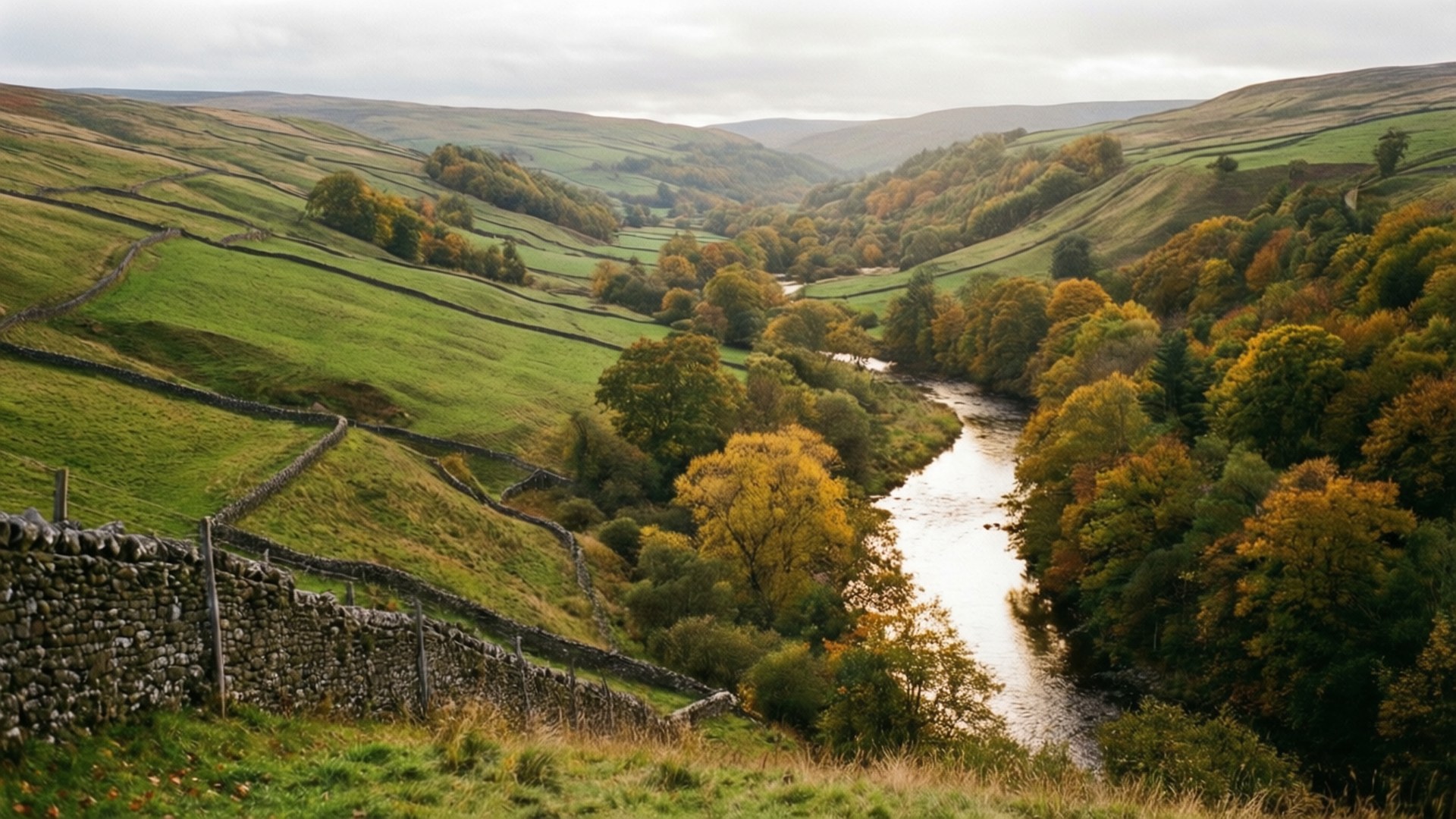 Autumn in the Dales 壁紙 — 一條蜿蜒的河流流經一個山谷，山谷中有起伏的綠色山丘，點綴著秋天的樹木和石牆，天空多雲。