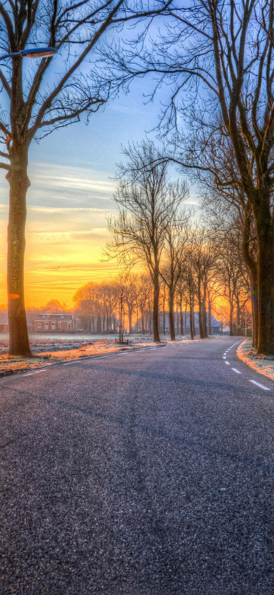  壁紙 — 一條蜿蜒的道路兩旁種滿了光禿禿的樹木，延伸向冰霜景觀上閃耀的日落地平線。