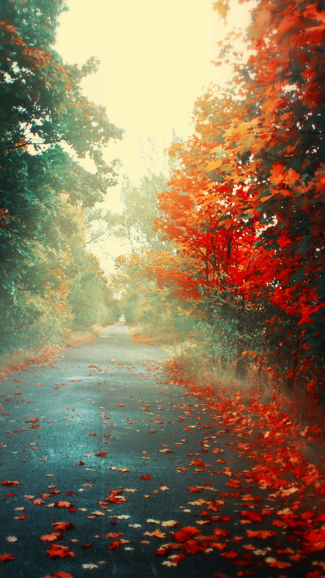  壁紙 — 一條蜿蜒的道路穿過秋日樹林，鮮紅的樹葉在柔和的金色光芒下鋪滿小徑。