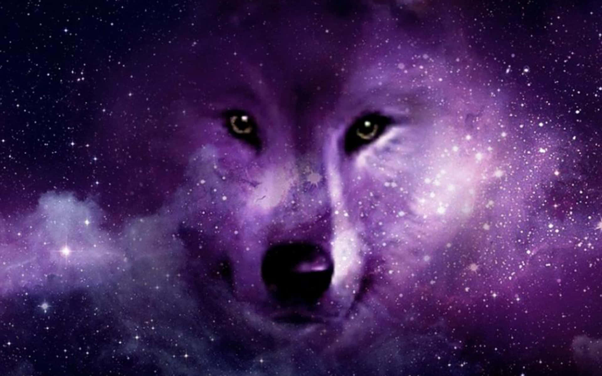  壁紙 — 一隻狼的臉從充滿閃爍星星和宇宙塵埃的旋轉紫色星雲中浮現。