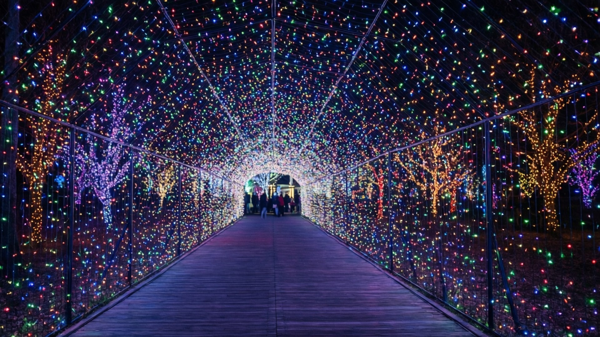 Nabana No Sato Lights 壁紙 — 一條木製步道穿過由金屬框架和裝飾樹木之間懸掛的閃爍多彩燈光隧道。