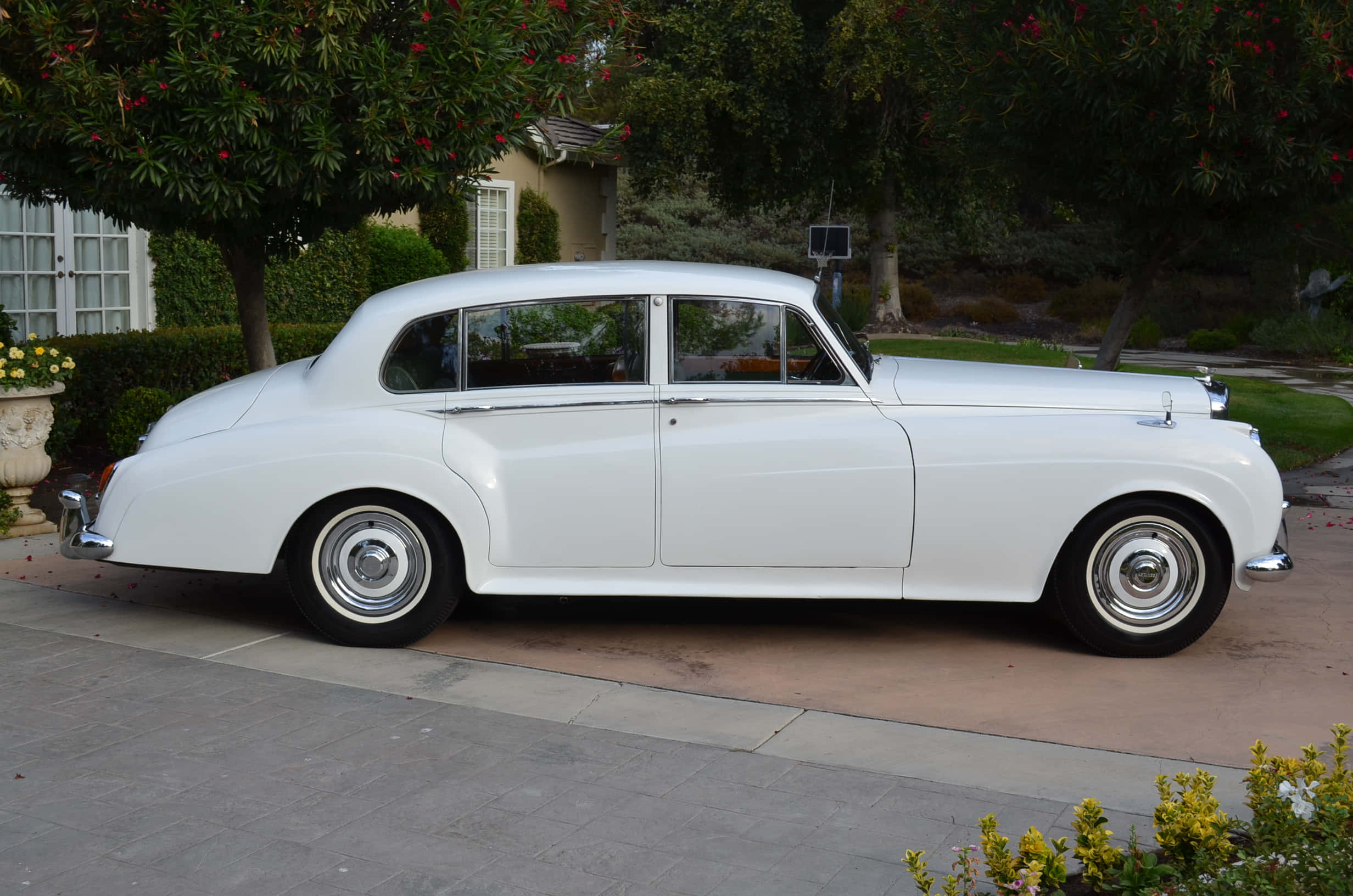 Bentley S2 桌布 壁紙 — 一輛純白色的復古豪華轎車停在鋪砌的車道上，旁邊是茂密的綠植和盛開的樹木。