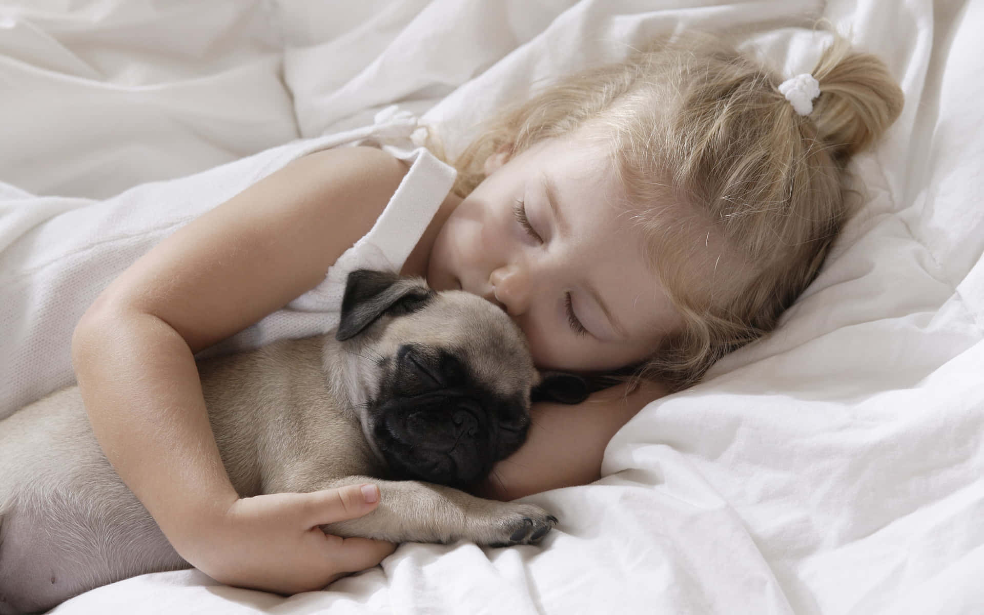  壁紙 — 一個金髮小女孩在白色床上抱著一隻巴哥犬幼犬，安詳地睡著了。