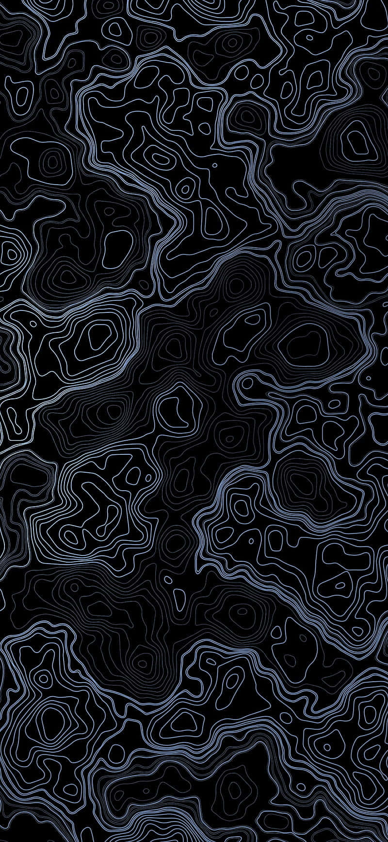  壁紙 — 抽象的發光藍白地形線在深黑色背景上旋轉。