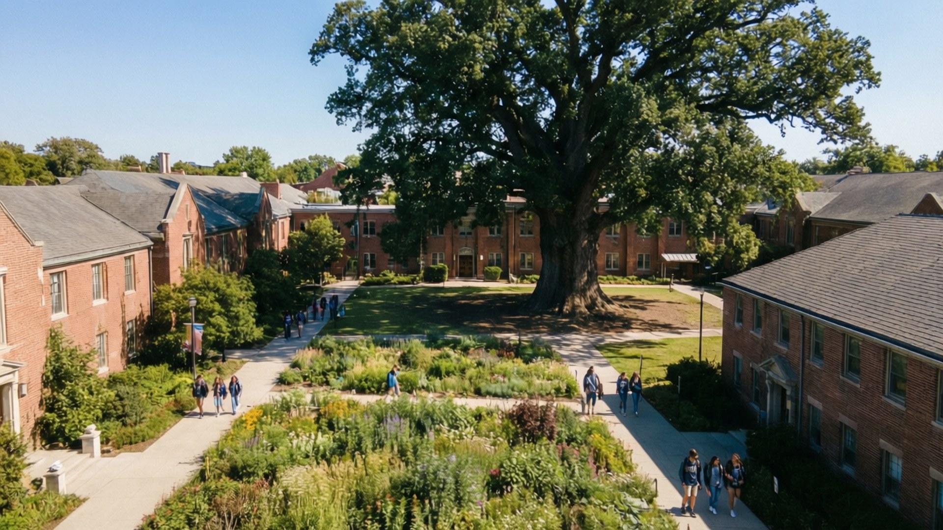 Campus Aerial View 壁紙 — 大學校園的鳥瞰圖，磚砌建築環繞著中央庭院，庭院中有一棵巨大的樹木和學生行走的小徑。
