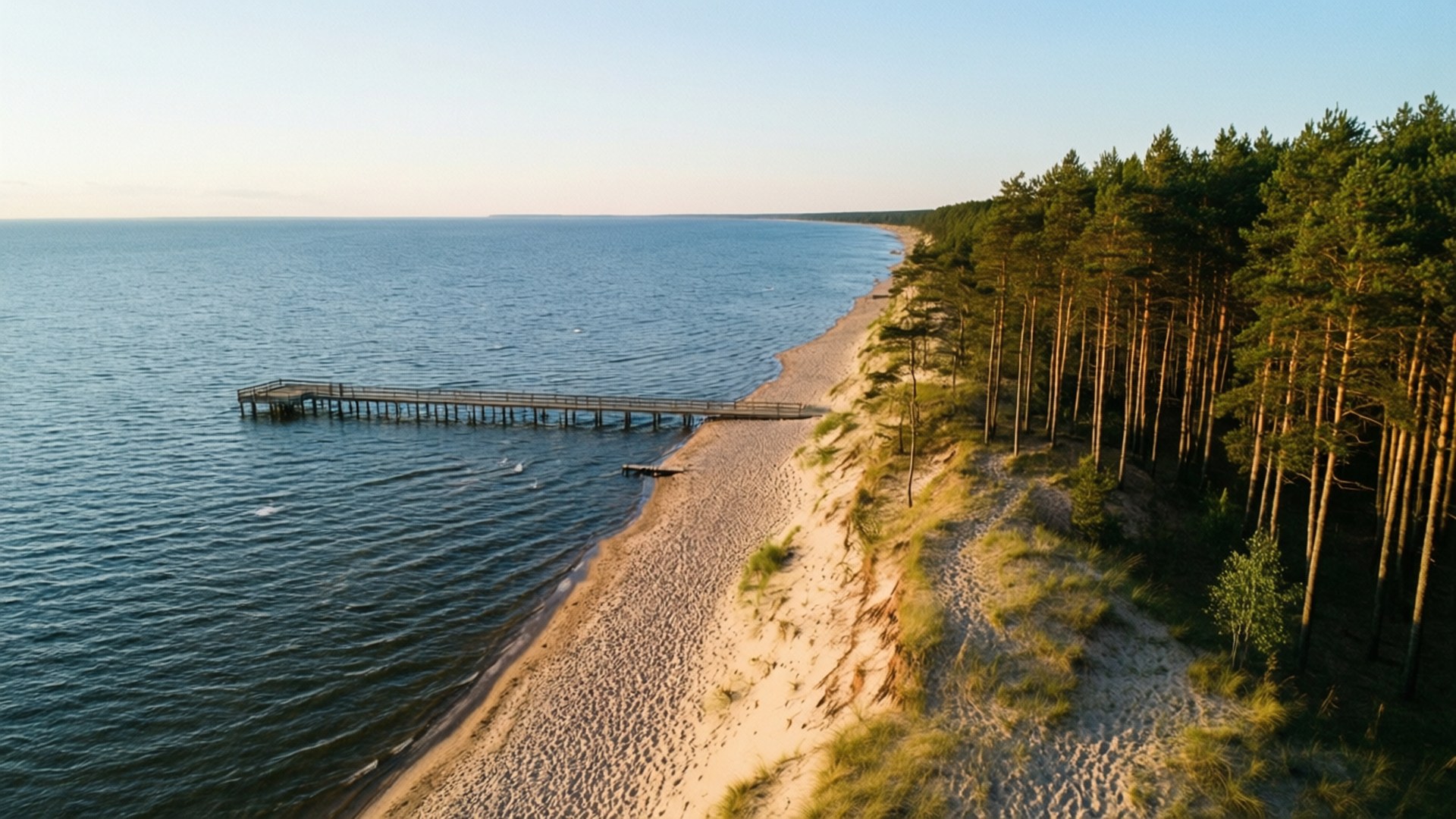 Hel Peninsula Sunset 壁紙 — 高空俯瞰一條長長的木碼頭延伸至平靜的藍色海水，旁邊是沙灘和高大的松樹。