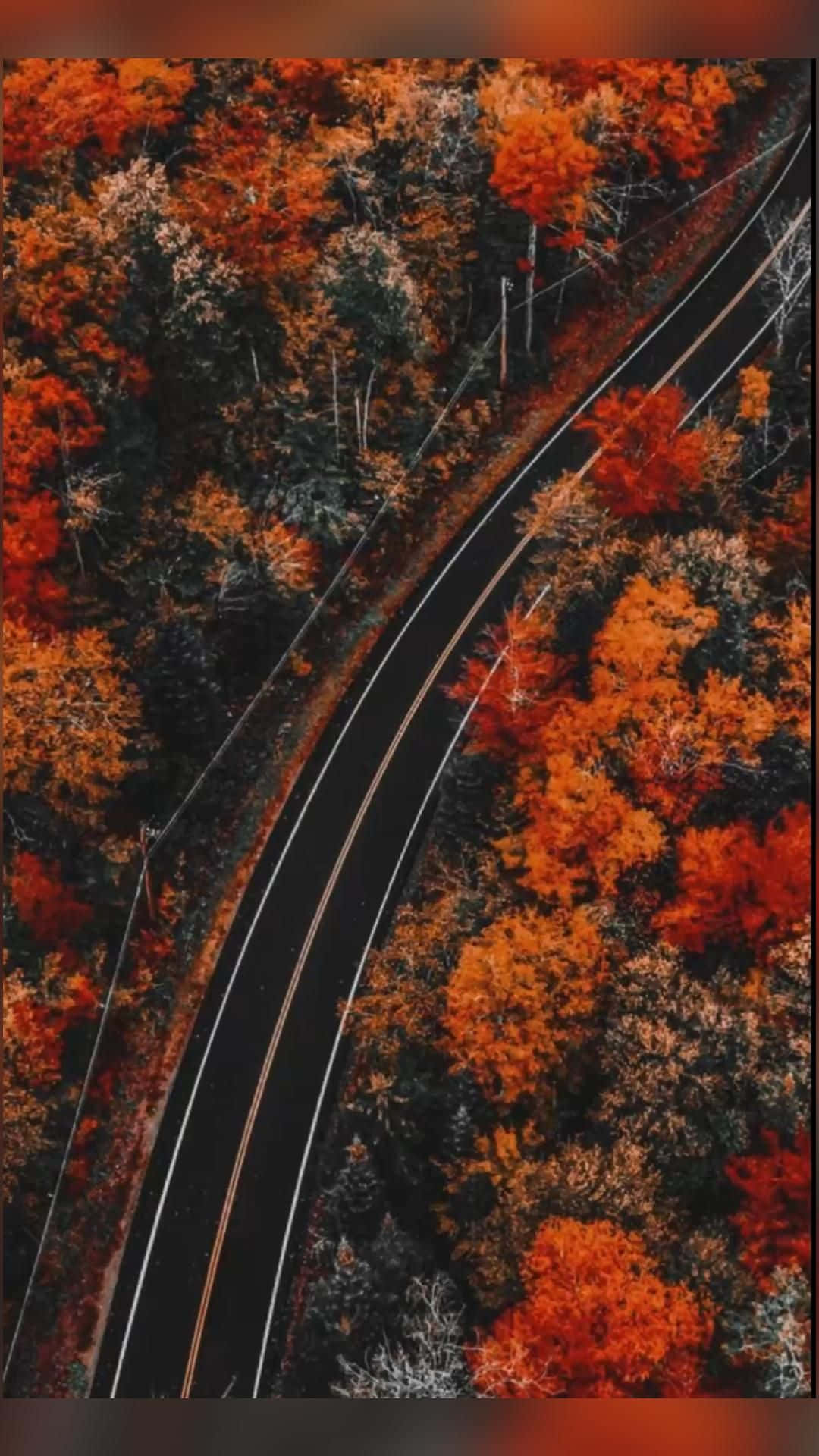  壁紙 — 一條蜿蜒的道路穿過茂密的森林，森林裡燃燒著火紅的橙色和紅色秋葉的鳥瞰圖。