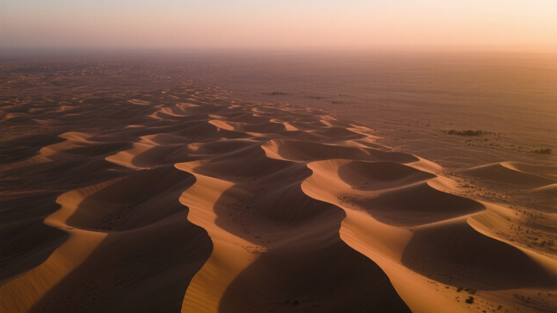 Desert Dunes at Dusk 壁紙 — 在柔和橙色日落天空下，風雕刻的無盡金色沙丘的鳥瞰圖。