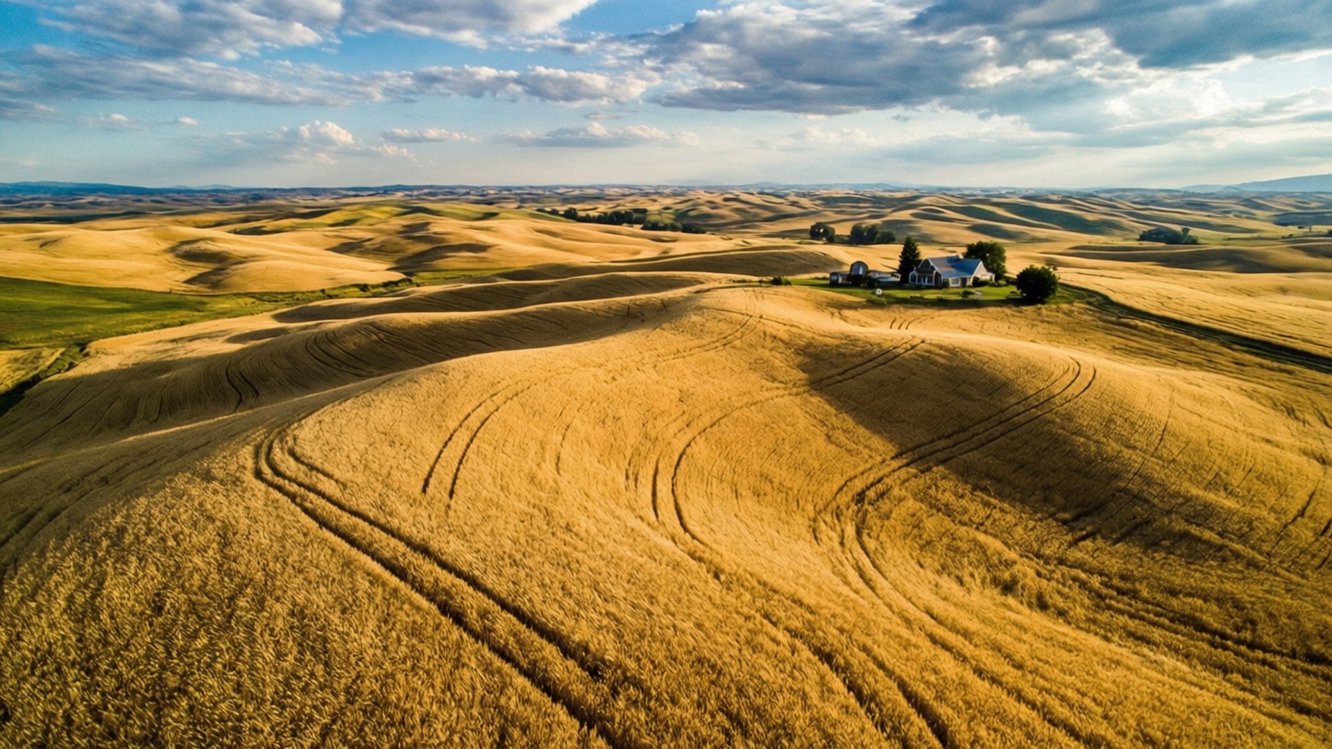 Palouse Wheat Fields 壁紙 — 金色麥田的鳥瞰圖，拖拉機軌跡蜿蜒穿過起伏的丘陵，天空部分多雲，遠處有一座農舍。