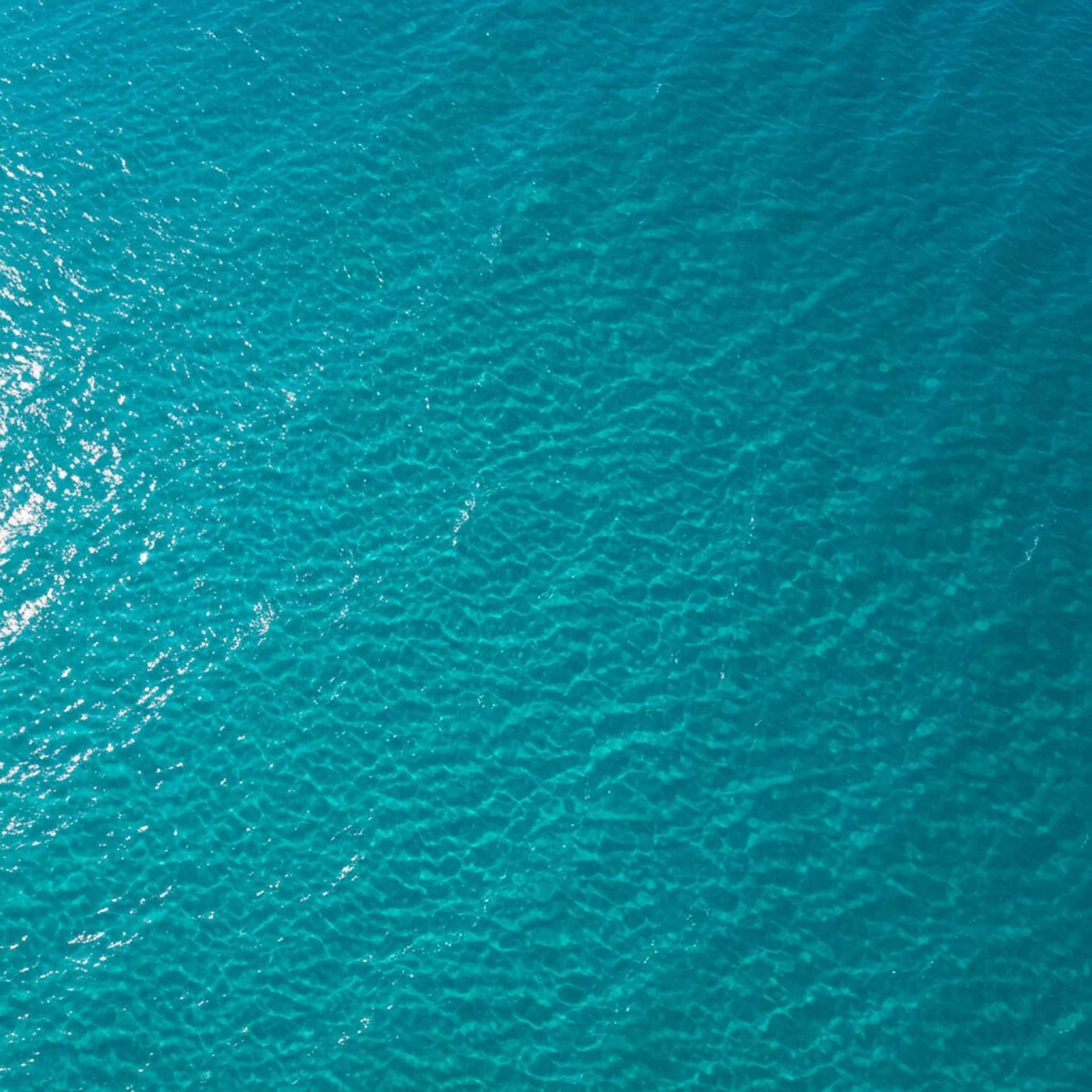 充滿活力的藍綠色海水，帶有輕柔的漣漪和明亮的陽光反射。 — 背景 壁紙