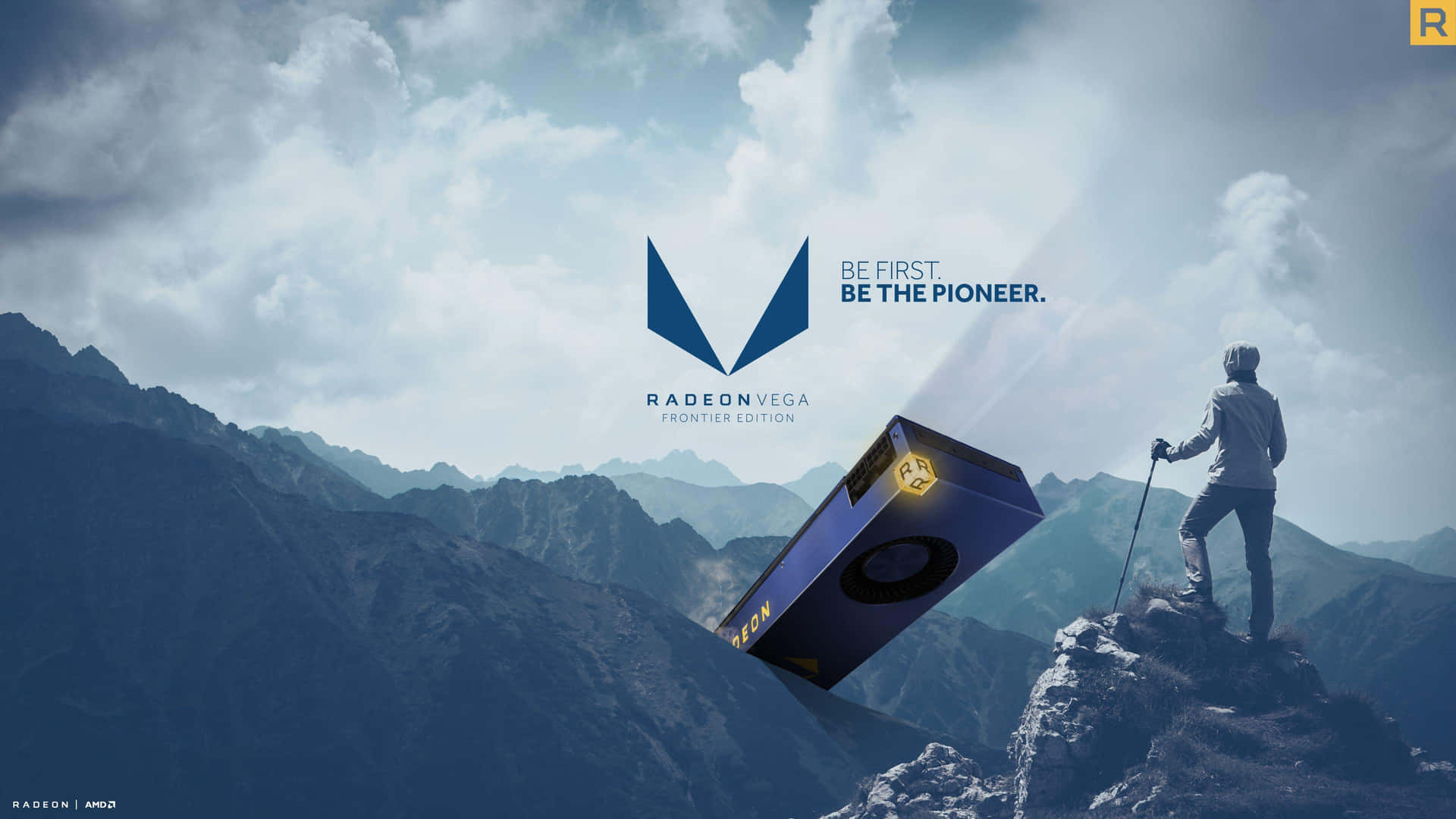 AMD 背景