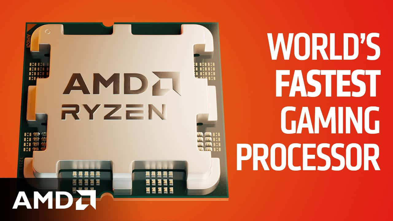 AMD 處理器圖片