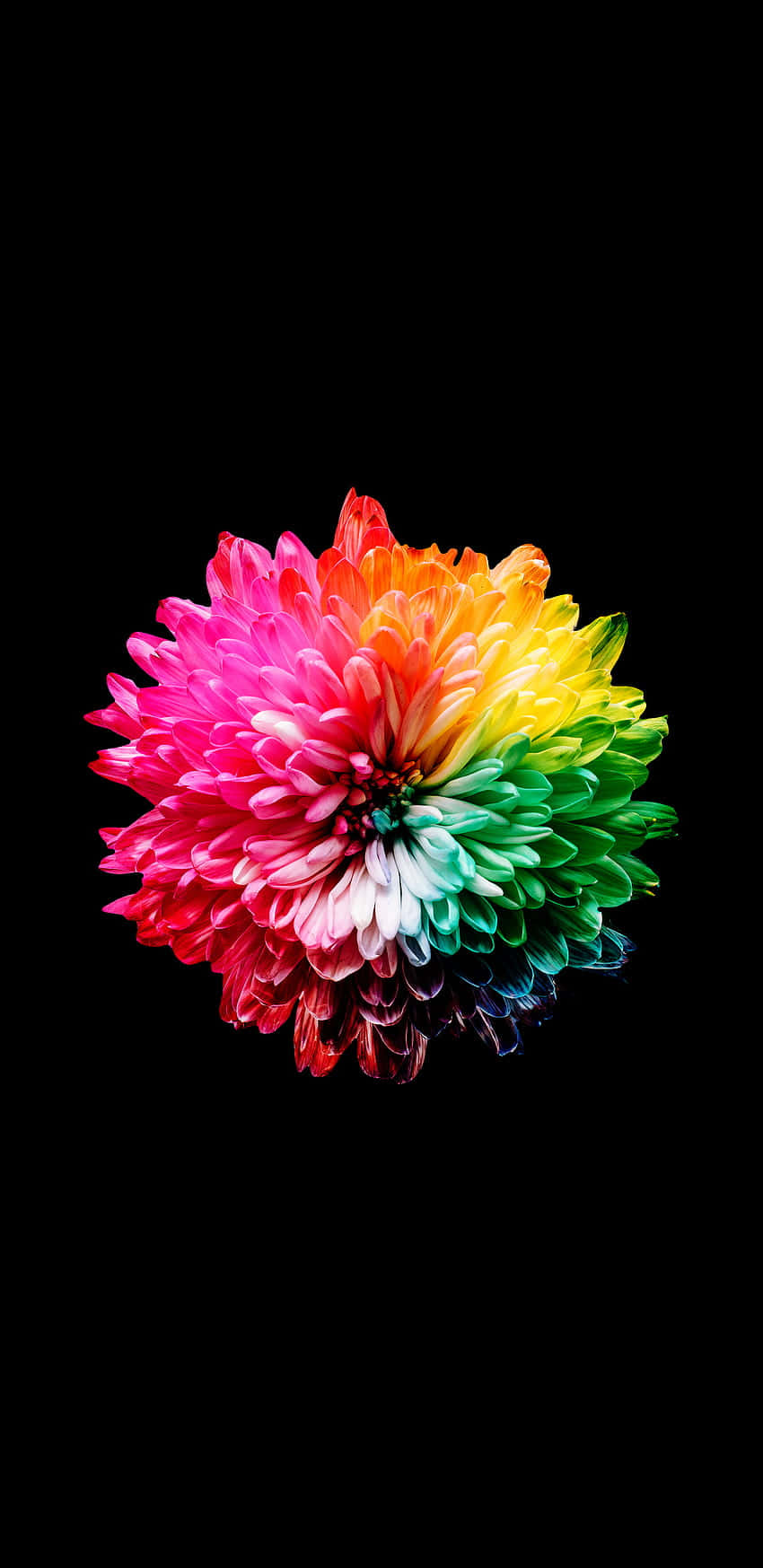 Amoled 圖片 壁紙