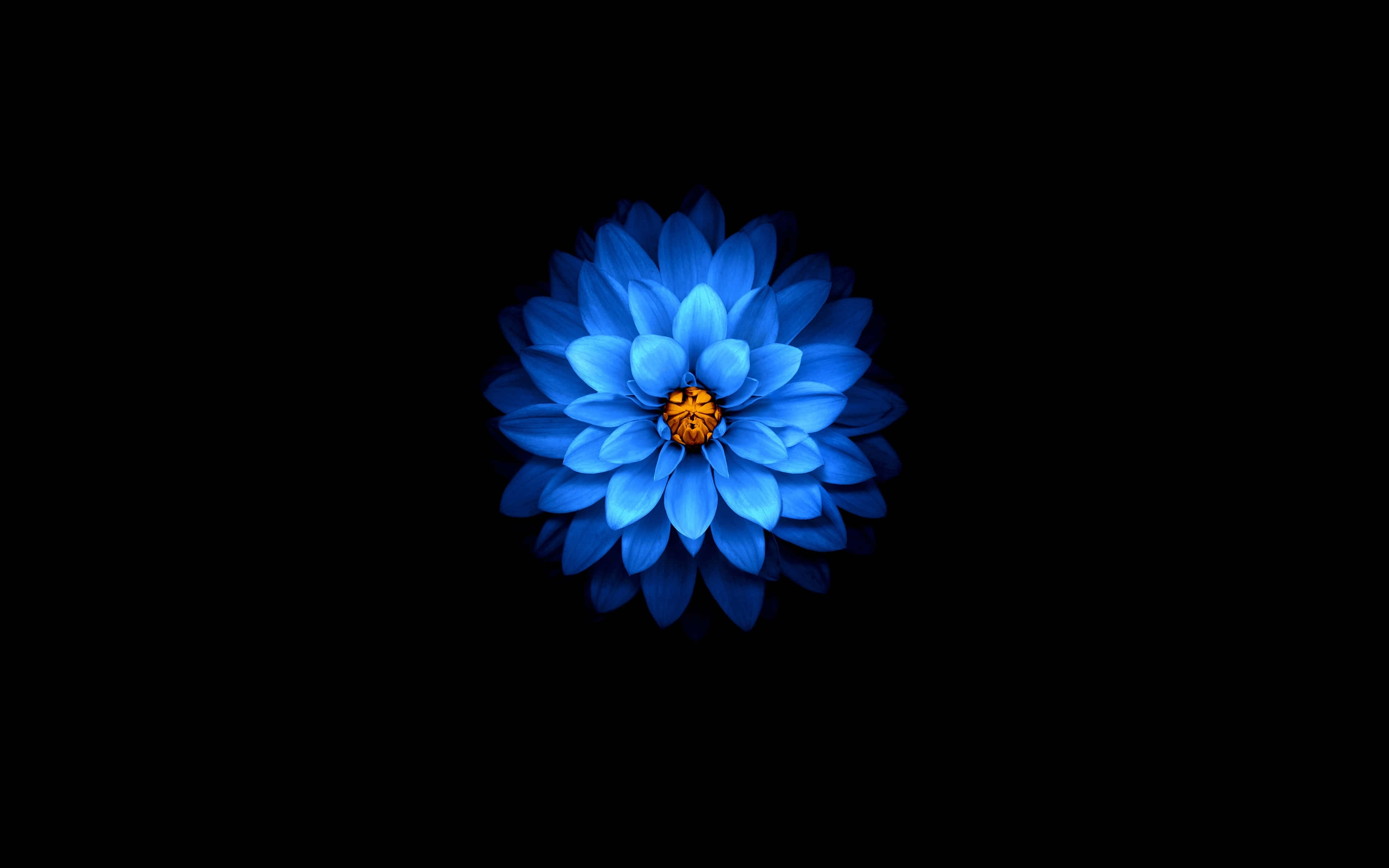 Amoled 圖片 壁紙