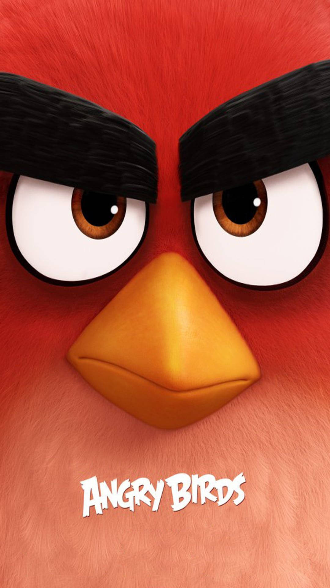鳥 桌布 壁紙 — Angry Birds遊戲中一隻紅色憤怒小鳥的近距離特寫，眉頭緊鎖，眼神凌厲。