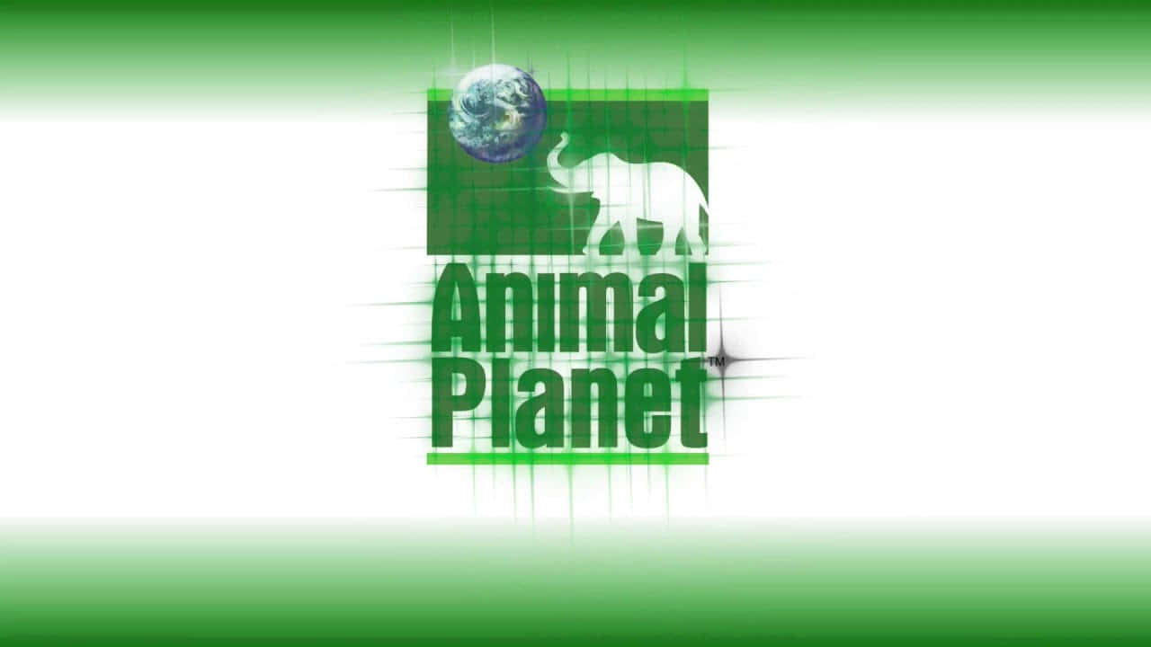 動物星球 桌布 壁紙 — Animal Planet 標誌，白色大象剪影和地球儀在綠色網格背景上。