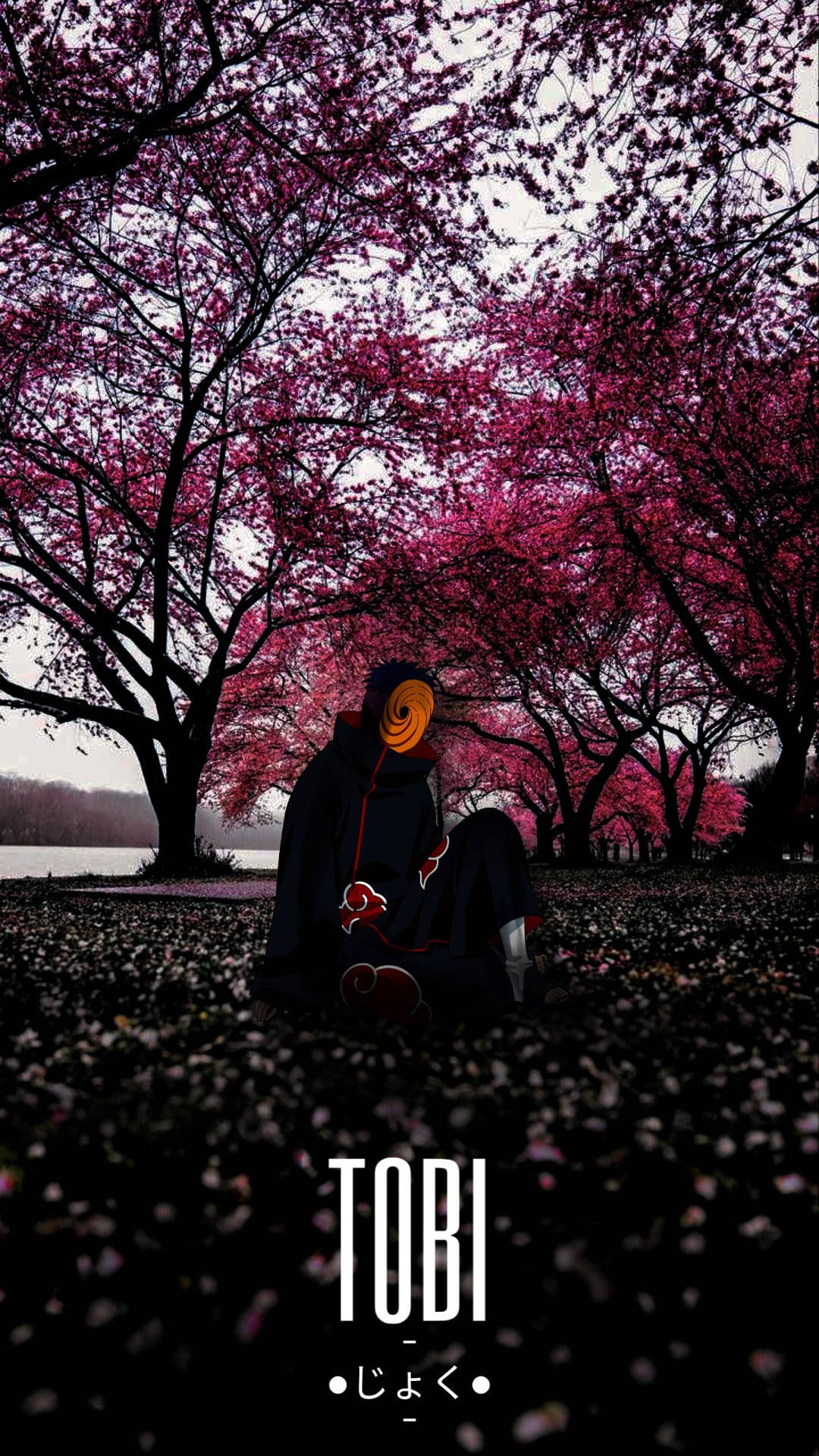 動漫角色坐在粉紅色櫻花樹下，地面有花瓣。 — 火影忍者 壁紙