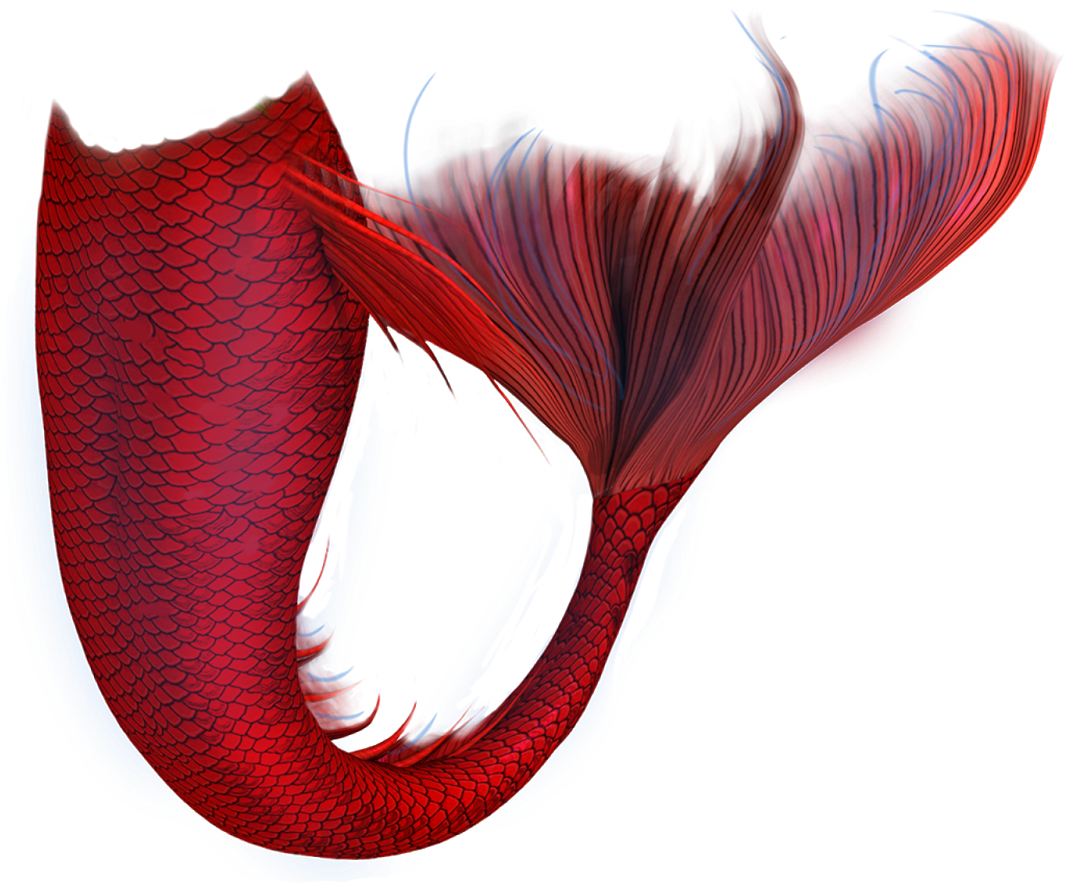 紅色美人魚尾巴 artwork.PNG 壁紙