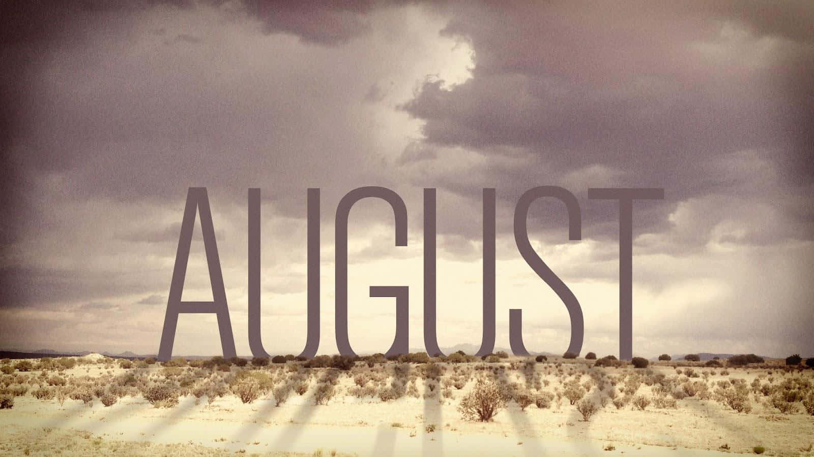 August 桌布 壁紙 — AUGUST 這個字在乾燥的沙漠景觀上方，在陰暗多雲的天空下，散落的灌木叢中顯得巨大。