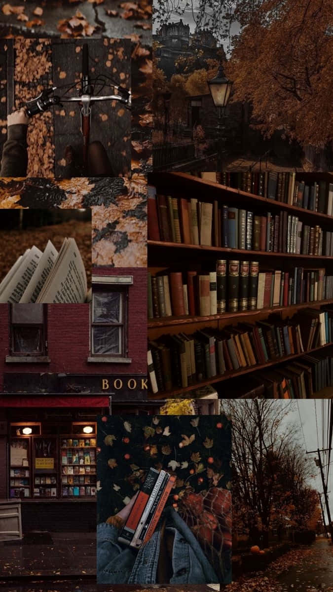 Dark Book Aesthetic 桌布 壁紙 — 一幅秋日場景的拼貼畫，包含書籍、腳踏車和溫暖金色光線下的舒適街景。