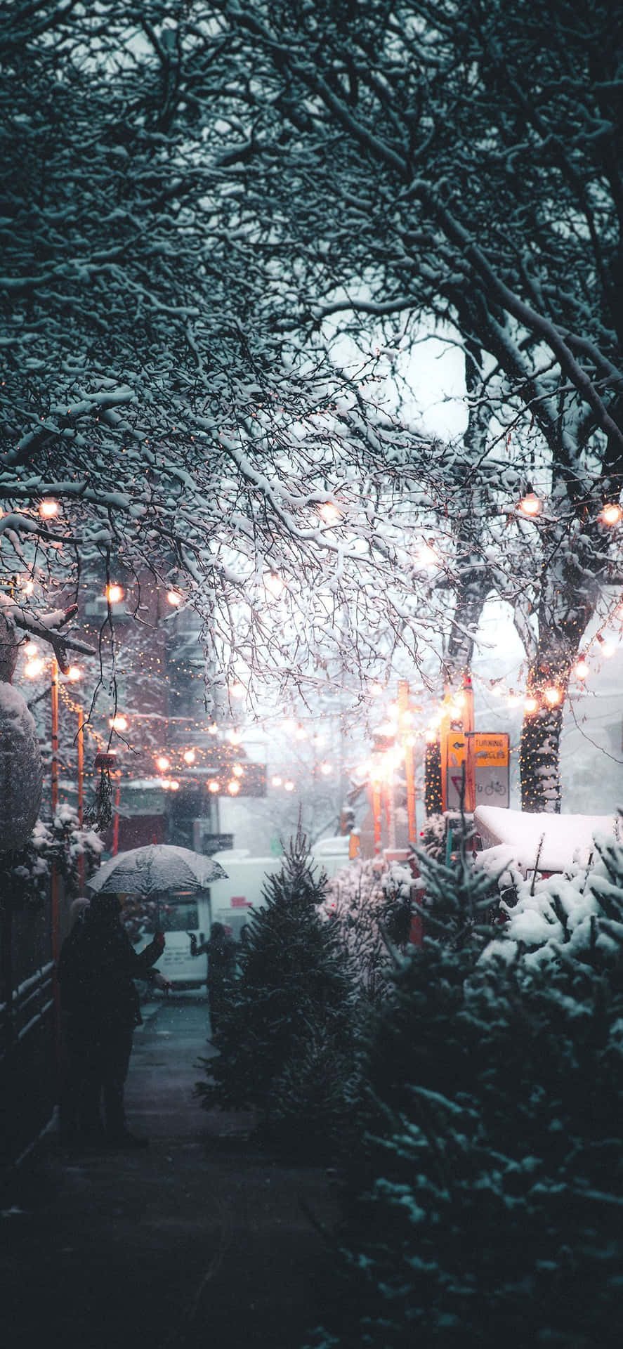 一個人在被雪覆蓋的樹下，夜晚有發光的串燈，撐著傘。 — 冬季 iPhone 壁紙 壁紙