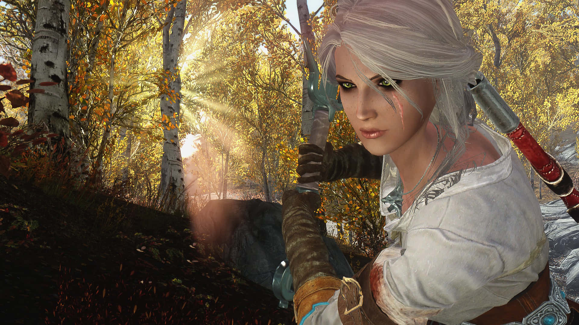 Ciri 桌布 壁紙 — 一位白髮戰士在沐浴著金色秋光的森林中，專注地握著弓。
