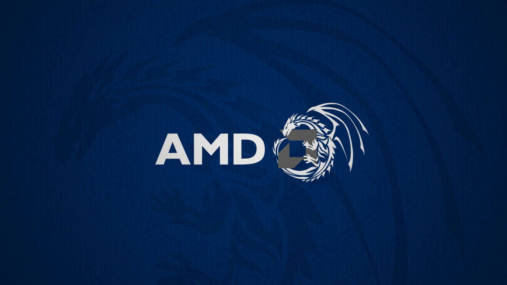AMD標誌搭配龍形徽章，置於有紋理的深藍色背景上。 — Amd 壁紙
