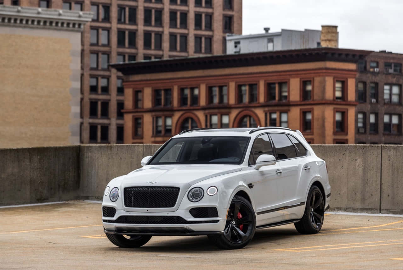 Bentley Bentayga 桌布 壁紙 — 一輛純白色的賓利Bentayga SUV，配備黑色輪圈，停放在屋頂停車場，背景是磚造建築，天空多雲。