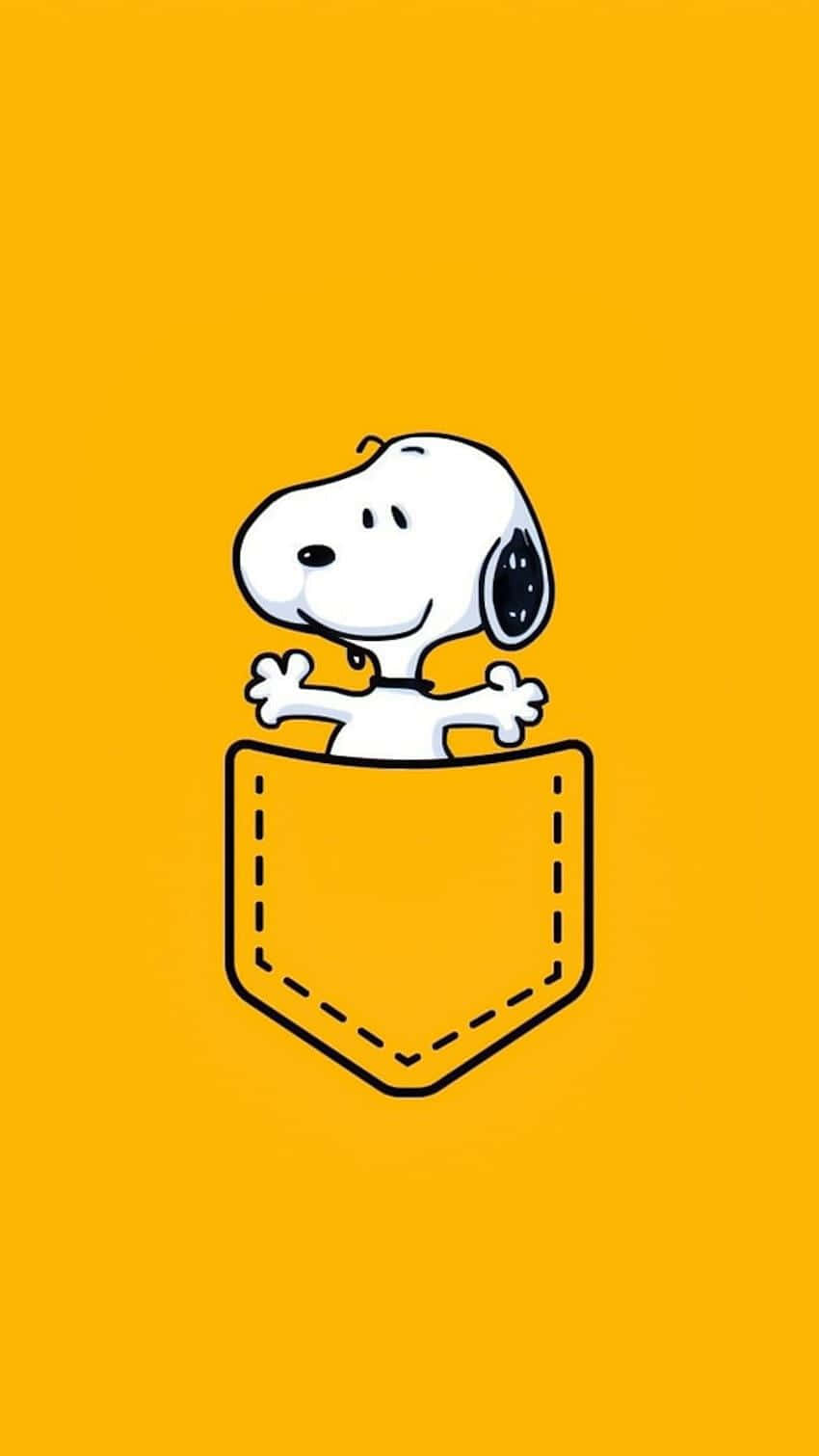  壁紙 — 白色比格犬史努比在橙色背景上從黃色口袋中愉快地探出頭來。