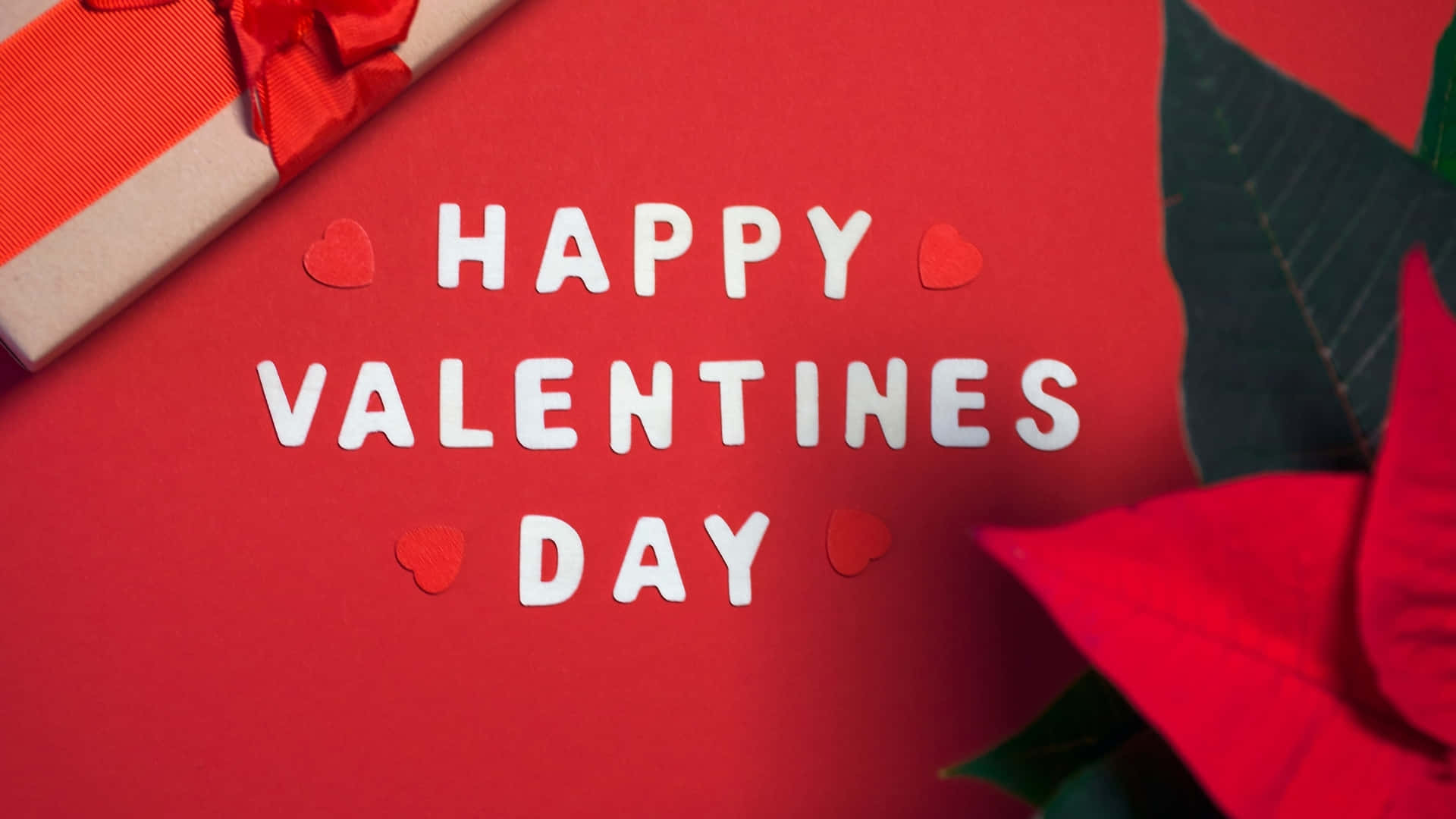  壁紙 — 白色大寫字母在鮮紅色表面上拼出happy valentines day，旁邊有一個禮物盒和聖誕紅。