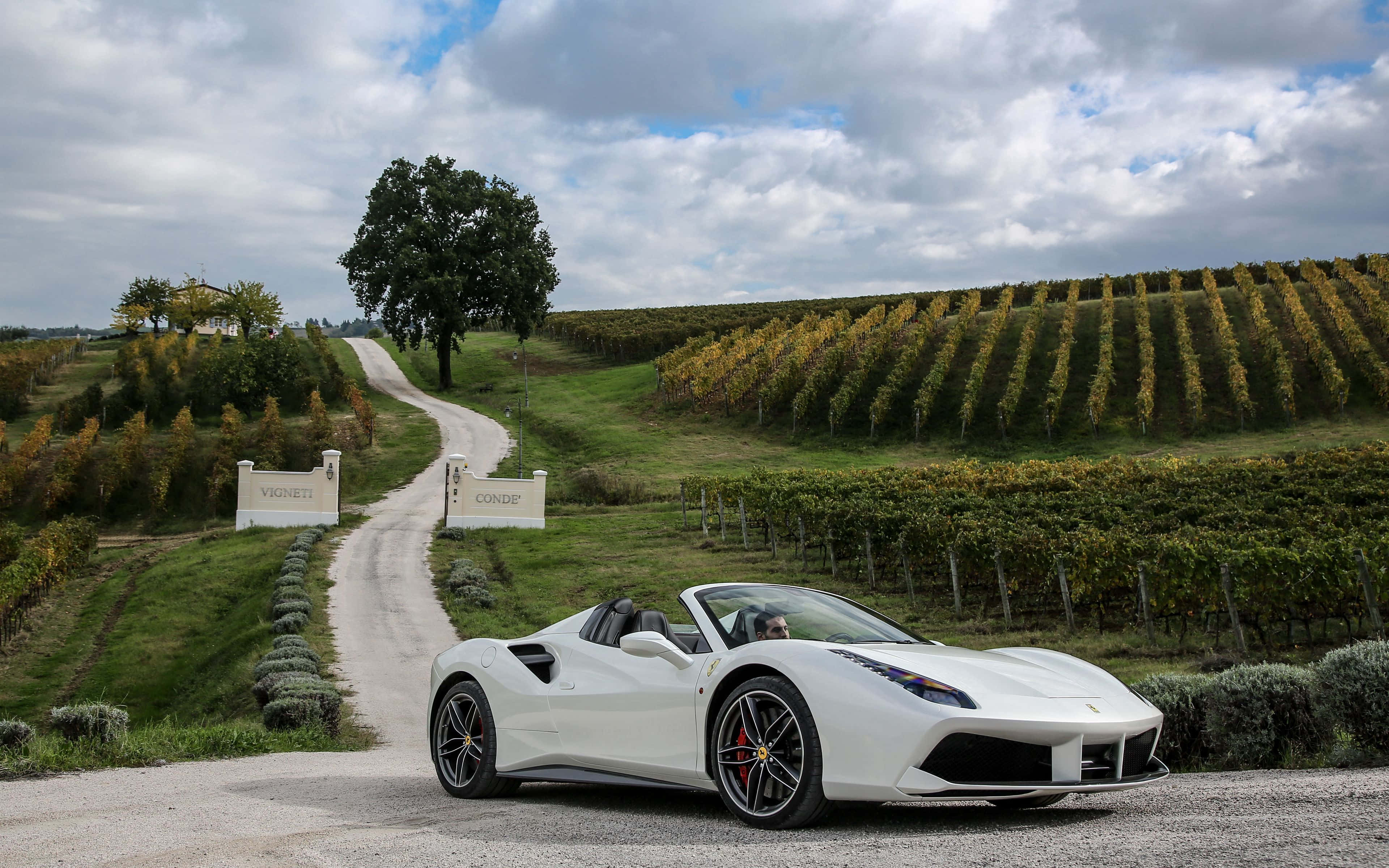 Ferrari 488 Spider 桌布 壁紙 — 一輛純白色法拉利Spider停泊在蜿蜒穿過金色葡萄園的碎石路上，天空多雲。