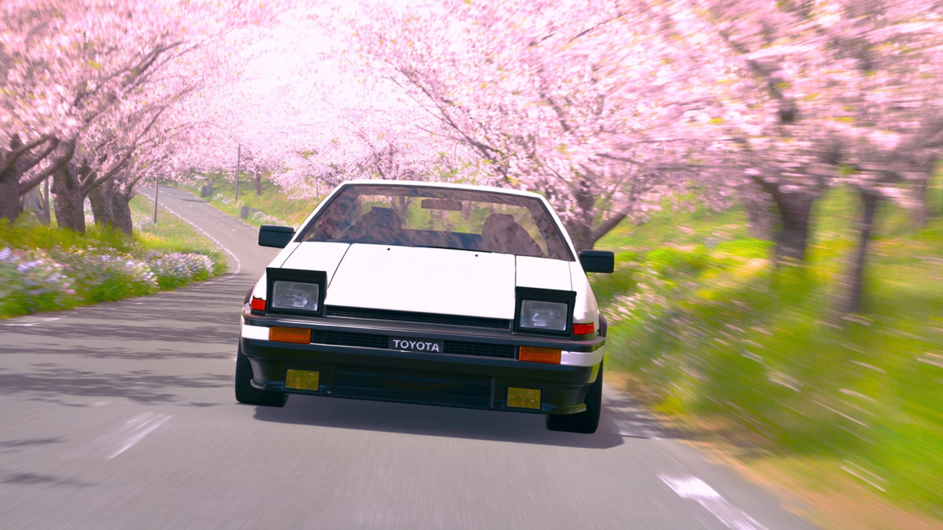 Cherry Blossom Drive 壁紙 — 一輛白色豐田AE86在兩旁盛開粉紅櫻花的蜿蜒道路上飛馳。