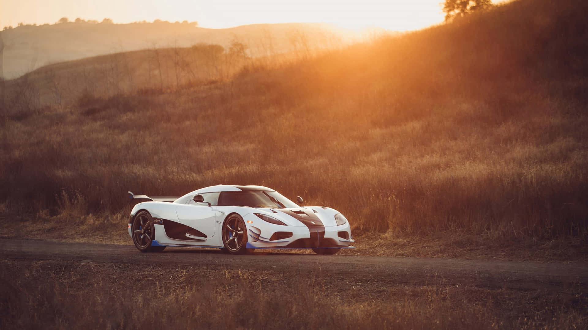  壁紙 — 一輛白色Koenigsegg超跑在日落時分沿著泥土路穿過金色山丘滑行。