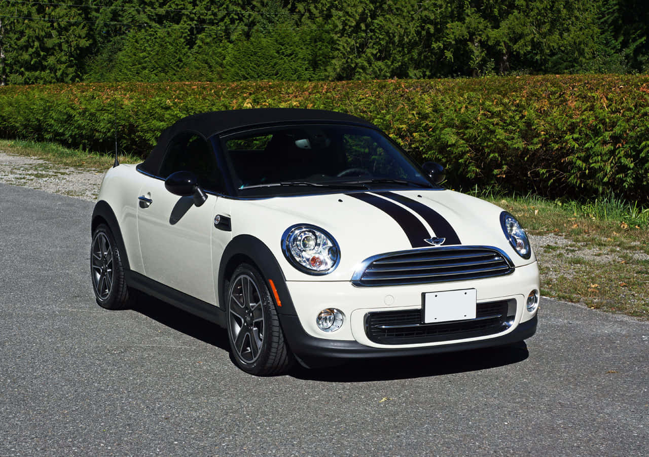  壁紙 — 一輛白色MINI Cooper敞篷車，帶有黑色賽車條紋，停在陽光普照下、綠樹籬旁的碎石路上。
