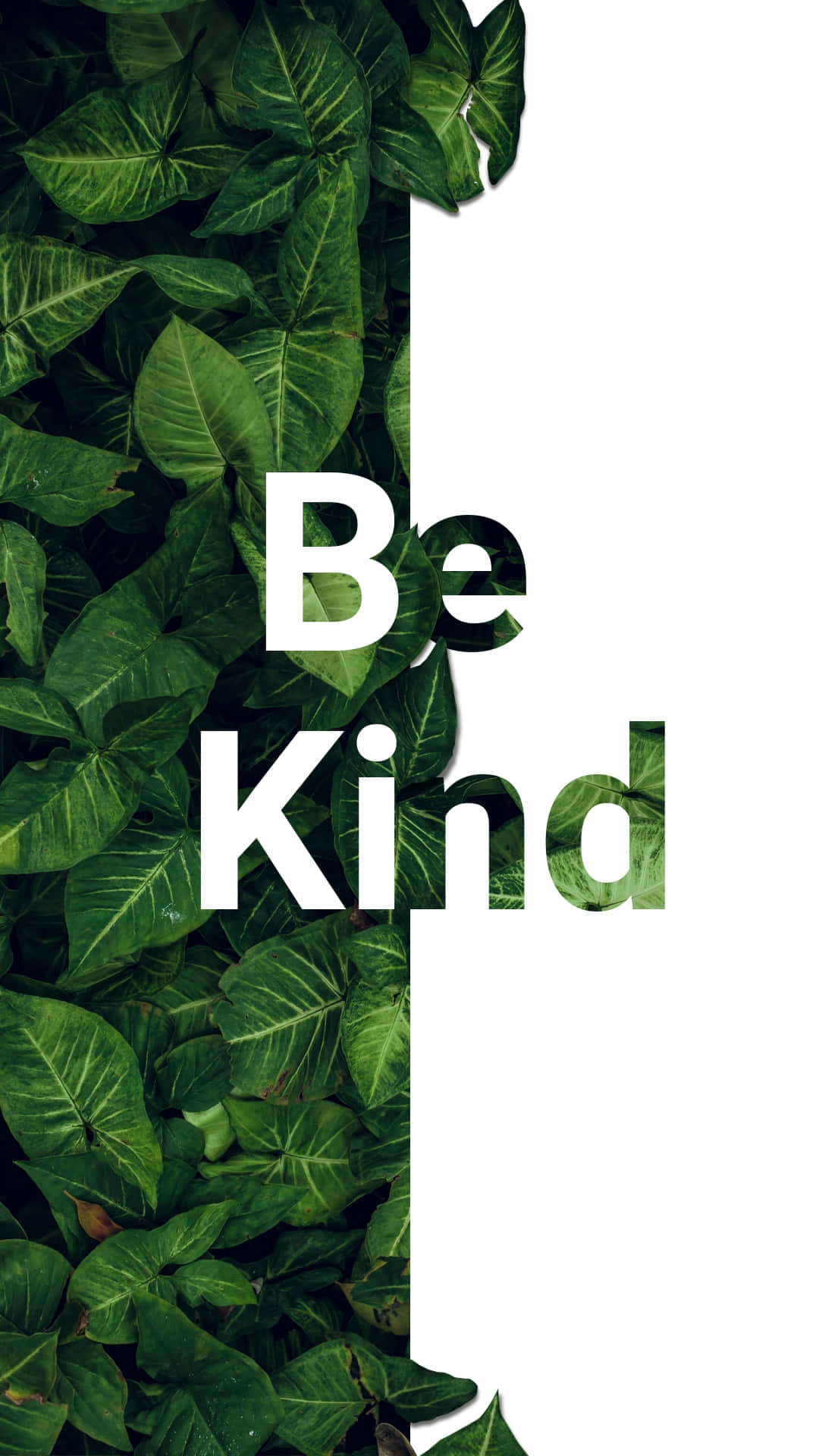 Be Kind 語錄葉片設計 壁紙
