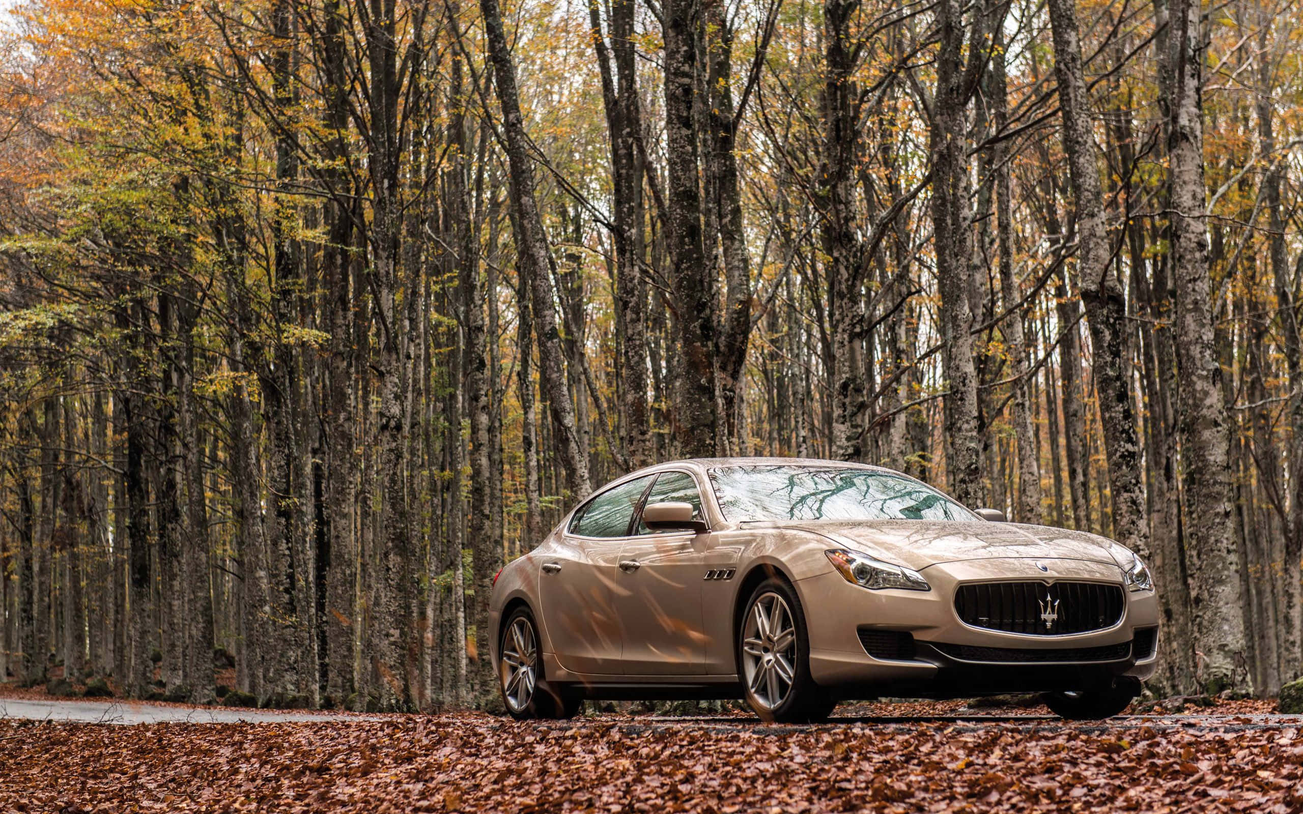 Maserati Ghibli 桌布 壁紙 — 一輛米色瑪莎拉蒂轎車停在鋪滿落葉的森林道路上，周圍是高聳的樹木，呈現秋葉景色。
