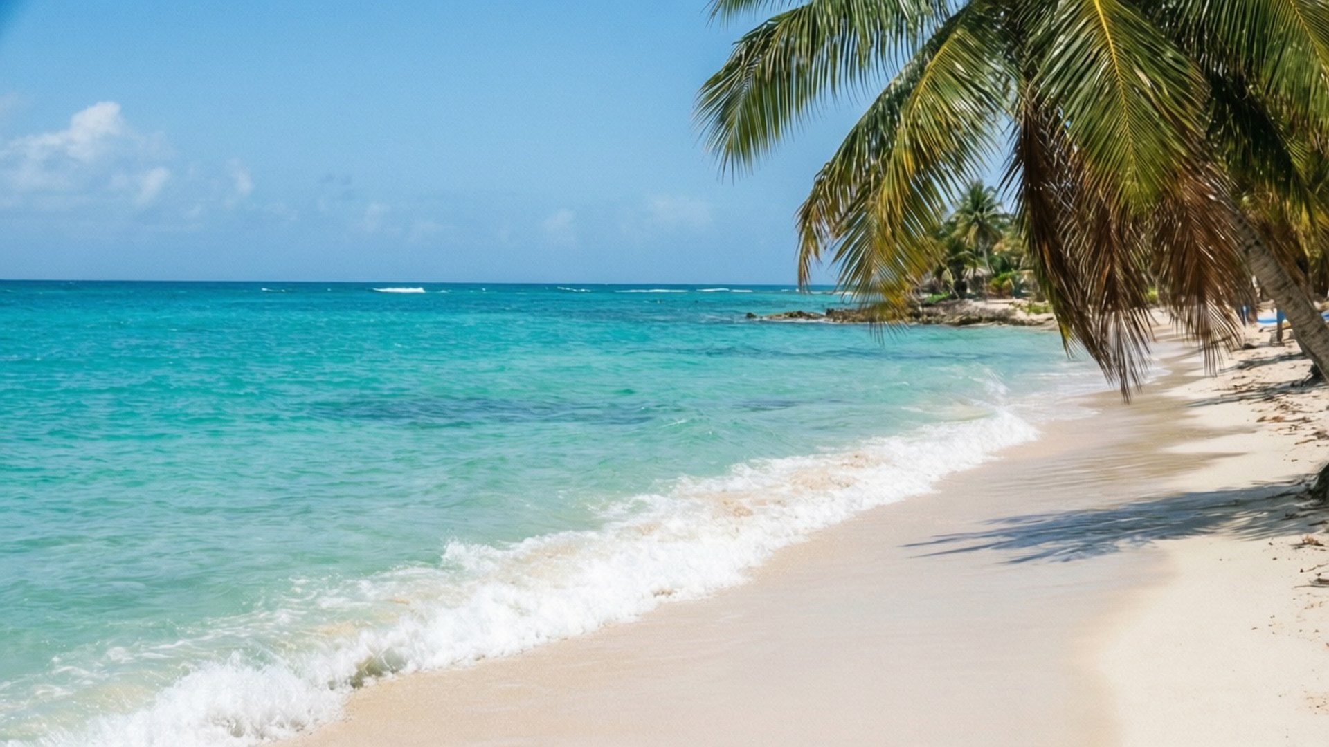 Flamenco Beach Paradise 壁紙 — 碧綠色的海浪輕輕拍打著粉白色的沙灘，沙灘上搖曳的棕櫚樹在晴朗的藍天下投下陰影。