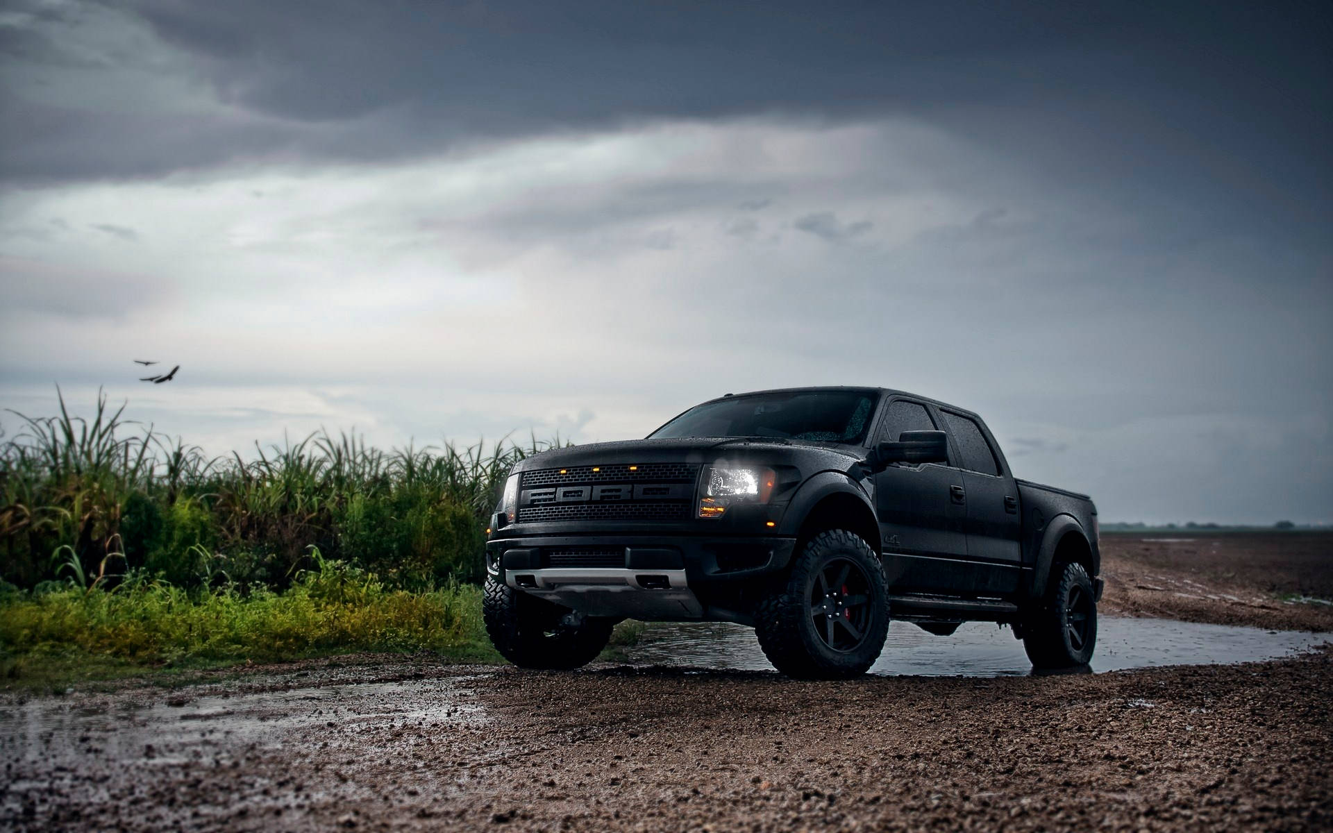 黑色福特 F-150 Raptor 卡車在泥濘田野上，暴風雨天空下，遠處有飛機。 — 福特猛禽 壁紙