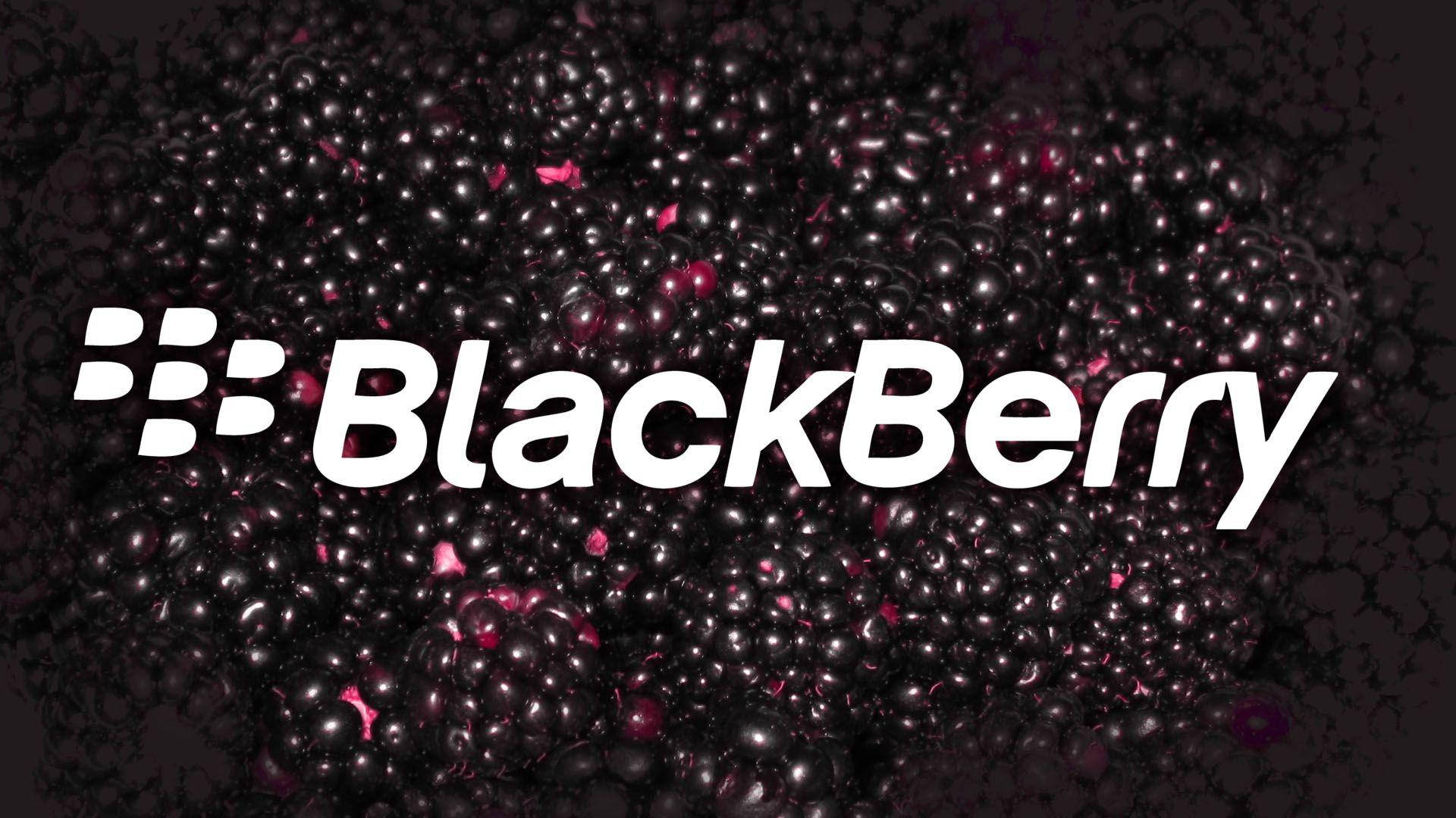 黑莓 桌布 壁紙 — BlackBerry 標誌以白色文字居中顯示在一堆帶有粉紅色高光的亮黑莓上方。