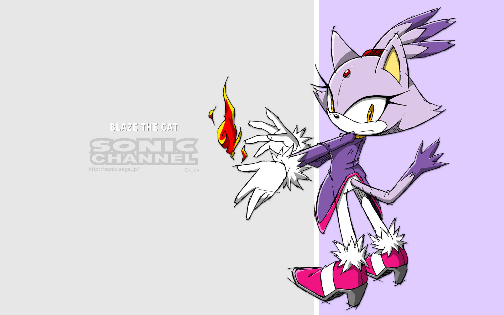 Blaze The Cat 桌布 壁紙 — Blaze the Cat，一隻擁有火焰力量的紫色貓咪，動態地站在灰色和薰衣草色分割的背景前。