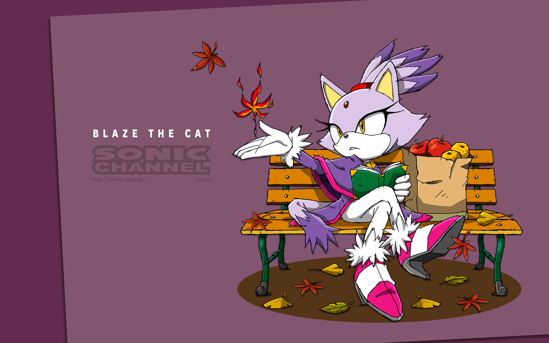 Blaze The Cat 桌布 壁紙 — Blaze the Cat 坐在長椅上閱讀一本書，秋葉在她周圍旋轉，營造出舒適的秋日場景。