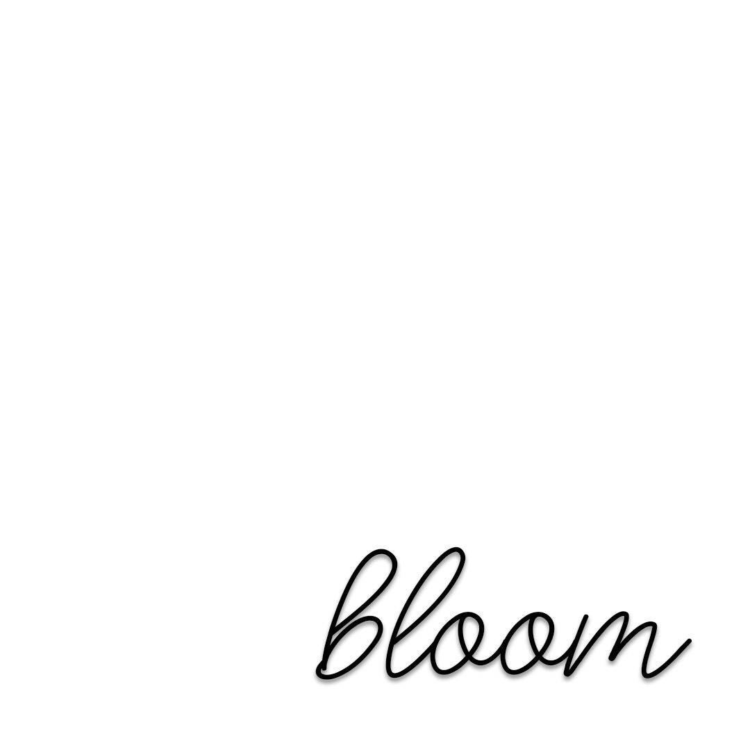 Plain White 桌布 壁紙 — 「bloom」一詞以優雅的黑色草書字體居中於潔淨的白色背景上。