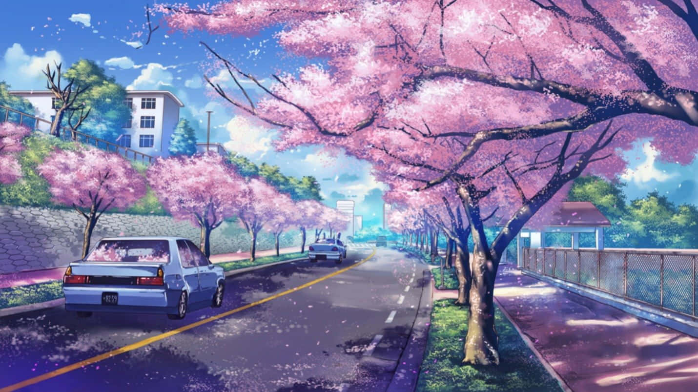 藍色汽車在陽光明媚的郊區街道上行駛在粉紅色櫻花樹下。 — 櫻花 壁紙