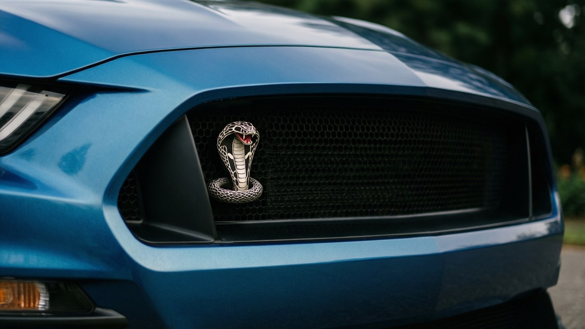 Cobra Emblem Detail 壁紙 — 藍色福特野馬 Shelby GT500 前格柵的特寫，在黑色網狀背景上展示了標誌性的銀色眼鏡蛇標誌。