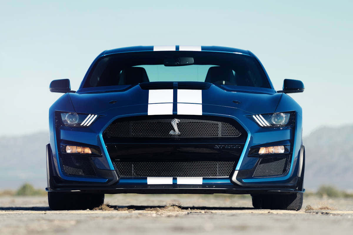  壁紙 — 一輛充滿活力的藍色Shelby GT500跑車，帶有白色賽車條紋，在晴朗天空下的沙漠公路上向前行駛。