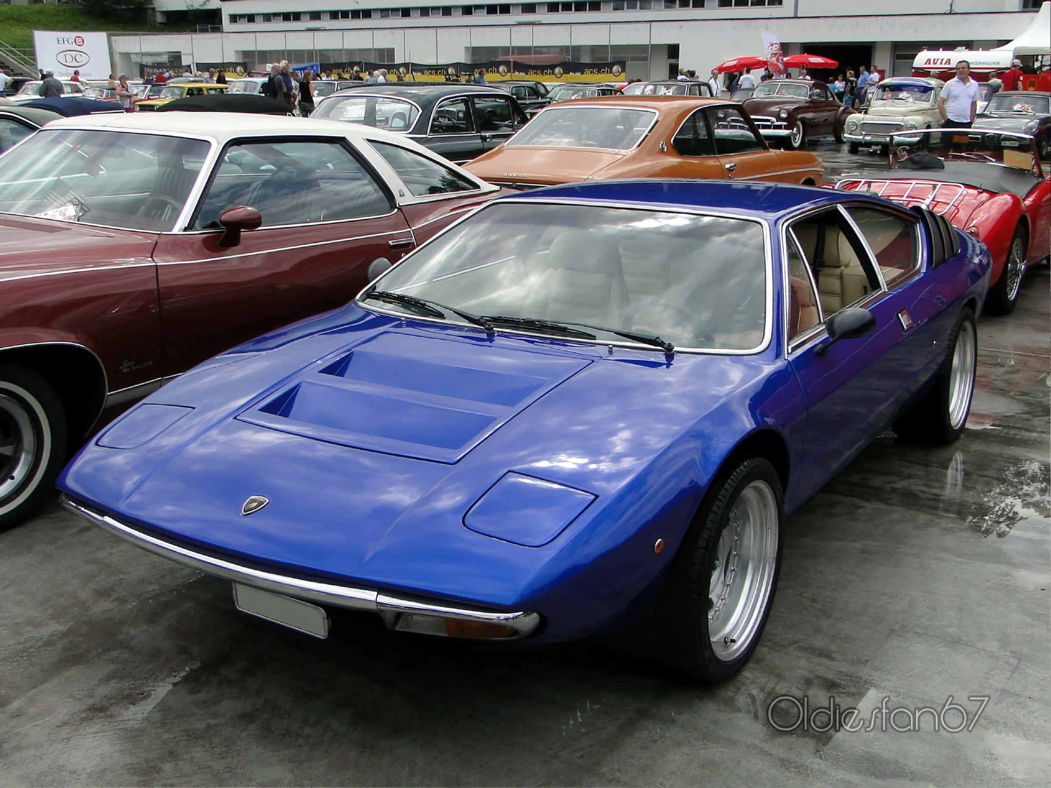Lamborghini Urraco 桌布 壁紙 — 一輛引人注目的藍色復古跑車在經典車展上，於日光下閃耀，周圍環繞著其他復古車輛。
