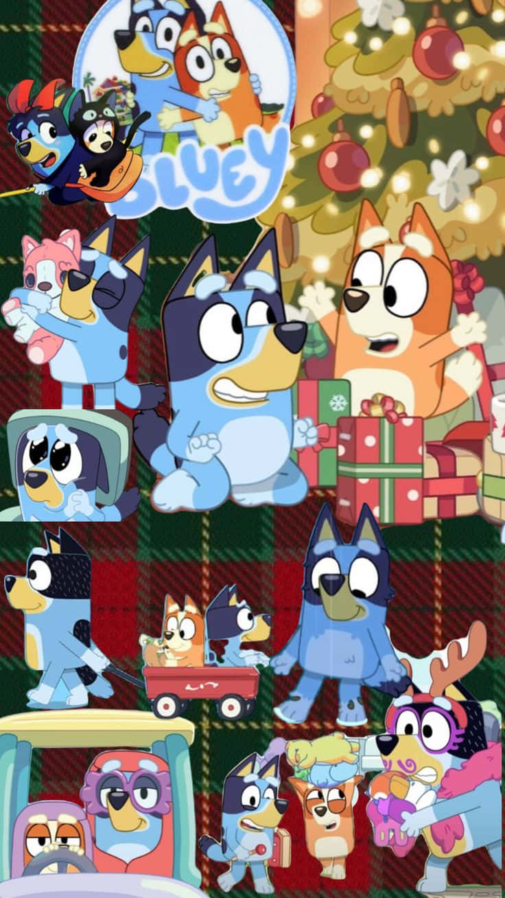  壁紙 — Bluey 與家人以禮物和節日歡樂慶祝聖誕，背景為格子圖案。