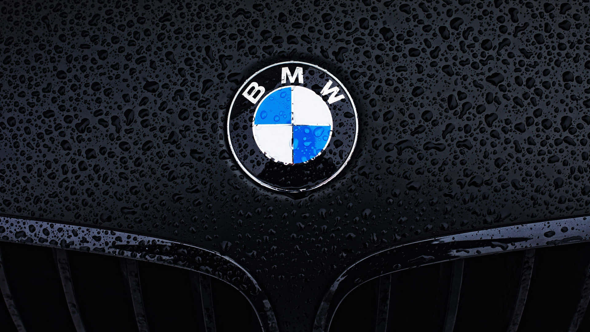 BMW 動圖 桌布 壁紙 — BMW 標誌特寫，位於濕透的黑色引擎蓋上，雨滴在柔和光線下閃閃發光。