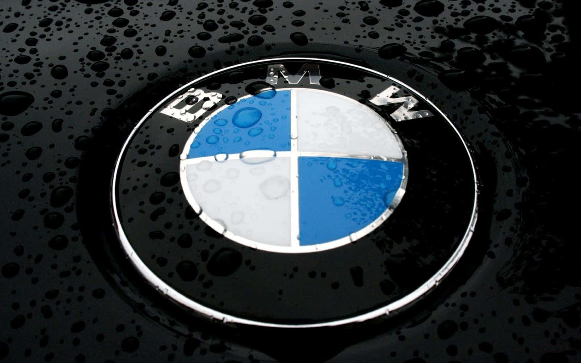 BMW 標誌在濕引擎蓋上帶有雨滴 — 1920x1200 GIF 壁紙