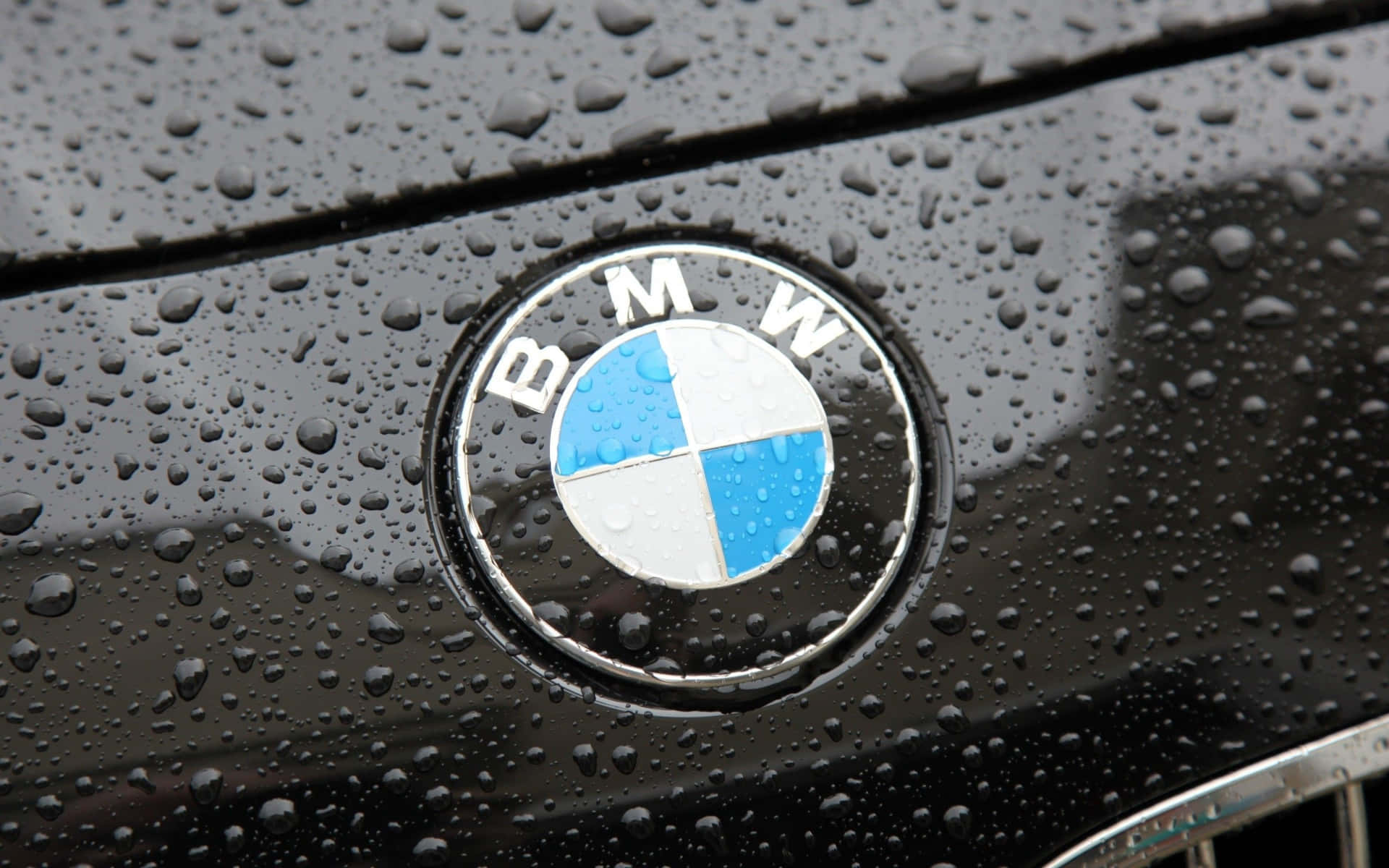 Bmw Logo 桌布 壁紙 — BMW 標誌特寫，位於濕透的黑色引擎蓋上，雨滴在柔和光線下閃爍。
